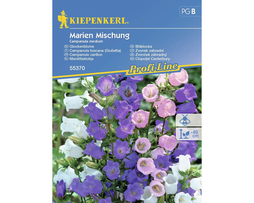 Semințe flori Kiepenkerl clopoței Marien