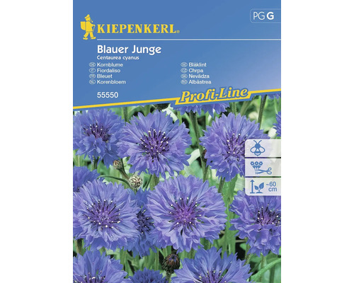 Semințe flori Kiepenkerl floare de cicoare albastră