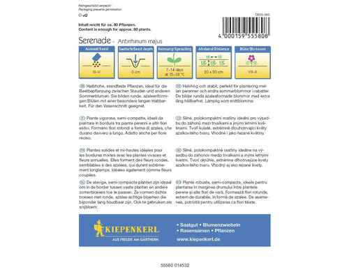 Pachet de semințe de flori Serenade Antirrhinum Majus