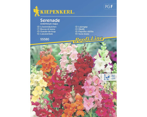 Semințe flori Kiepenkerl gura leului Serenade F2