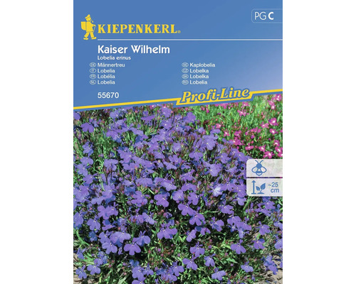 Semințe flori Kiepenkerl lobelia Kaiser Wilhelm