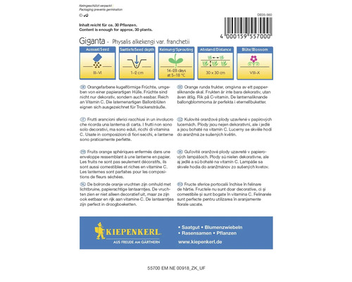 Pachet de semințe Physalis Giganta