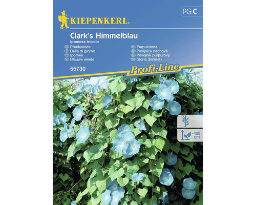 Semințe flori Kiepenkerl zorele Clark's albastru închis