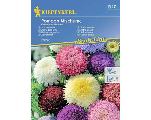 Semințe flori Kiepenkerl aster de vară amestec