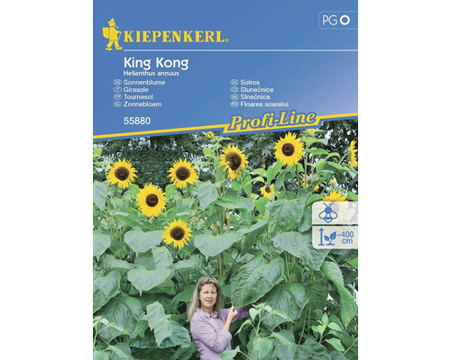 Semințe flori Kiepenkerl floarea soarelui King Kong