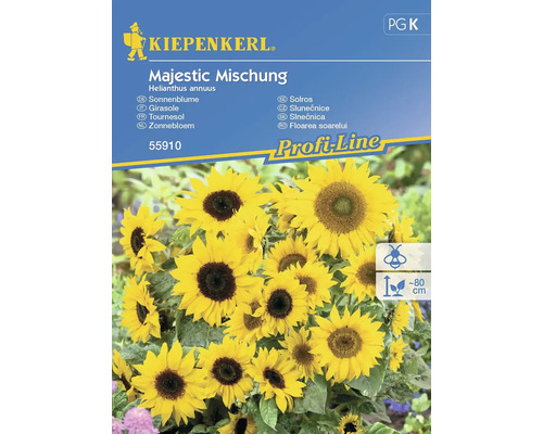 Semințe flori Kiepenkerl de floarea soarelui Majestic