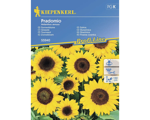 Semințe flori Kiepenkerl floarea soarelui Pradomio