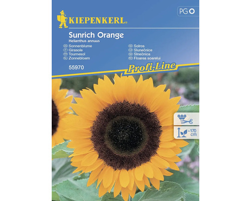Semințe flori Kiepenkerl floarea soarelui portocalie Sunrich F1