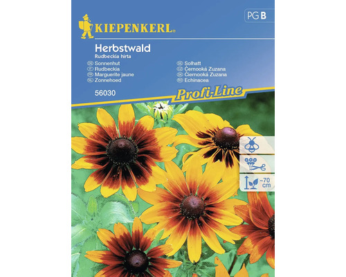 Semințe flori Kiepenkerl de Rudbeckia