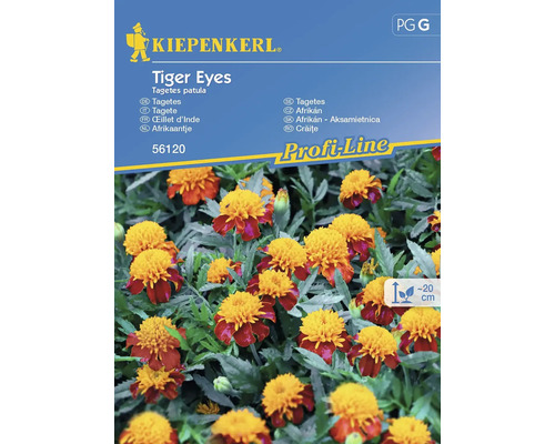 Semințe flori Kiepenkerl crăițe Tiger Eyes