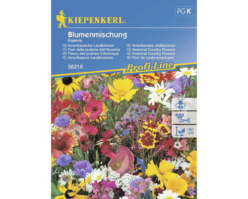 Semințe flori Kiepenkerl de flori americane de câmp