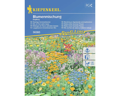 Semințe flori pitice de vară Kiepenkerl
