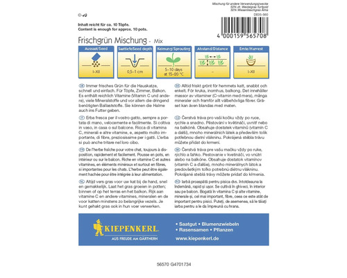 Amestec de verdeață proaspătă pentru pisici, conținut pentru aproximativ 10 ghivece