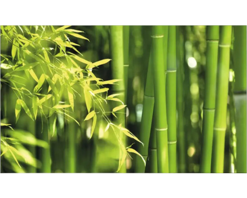 Pădure de bambus cu tulpini și frunze verzi