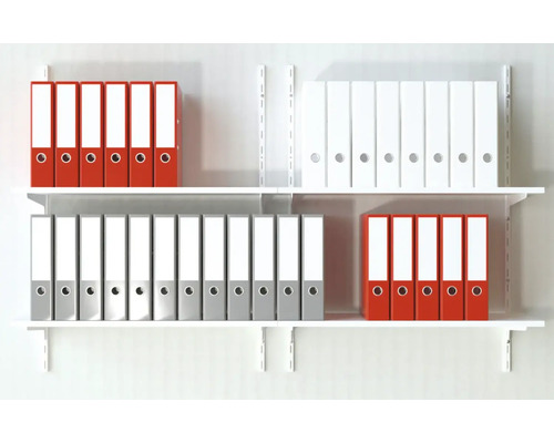 Rafturi cu bibliorafturi