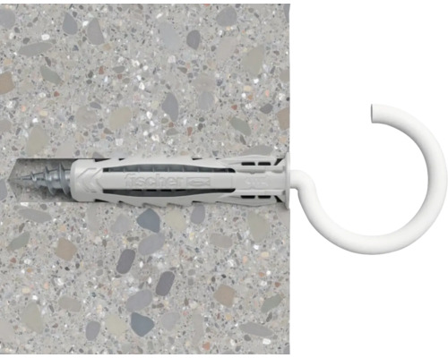 Diblul Fischer cu cârlig cu șurub într-un perete