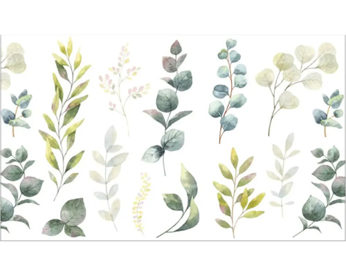 Panou bucătărie mySpotti Profix Lina aluminiu compozit 100x60 cm Ilustrație cu diverse ramuri de eucalipt