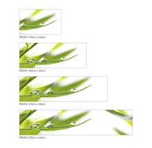 Folie decorative cu motiv vegetal și picături de apă în diferite dimensiuni