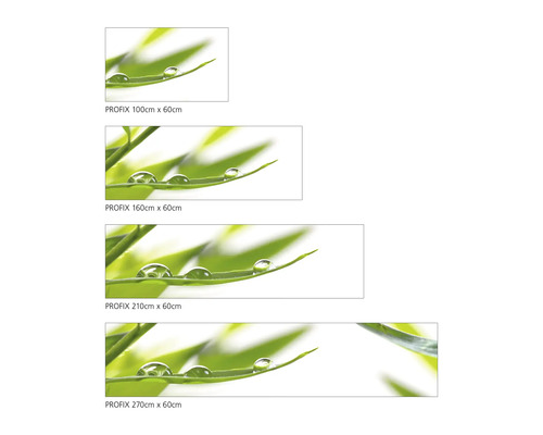 Folie decorative cu motiv vegetal și picături de apă în diferite dimensiuni