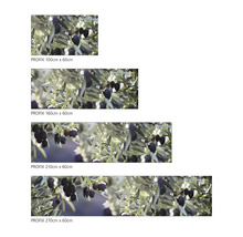 Panou de protecție bucătărie Profix în diferite dimensiuni cu motiv măsline