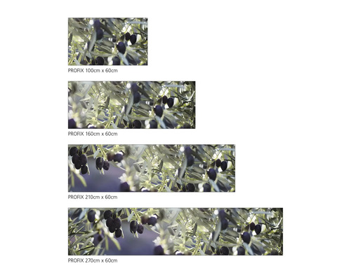 Panou de protecție bucătărie Profix în diferite dimensiuni cu motiv măsline
