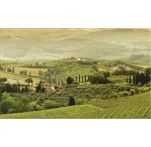 Peisaj cu vii și case