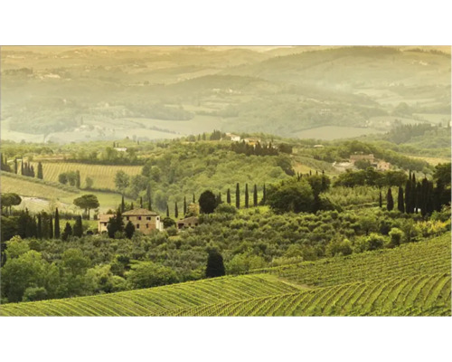 Peisaj cu vii și case