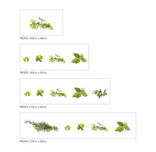Folie de protecție împotriva stropilor Profix cu motiv de ierburi aromatice în diferite dimensiuni