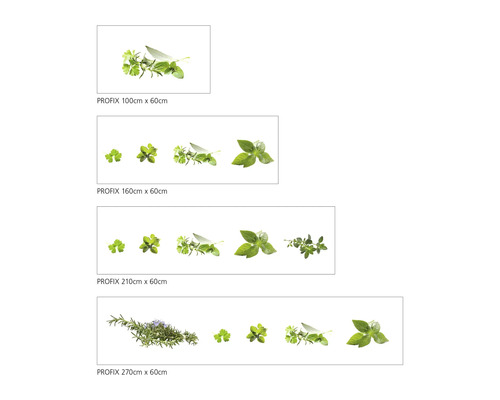 Folie de protecție împotriva stropilor Profix cu motiv de ierburi aromatice în diferite dimensiuni