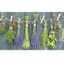 Diverse ierburi aromatice atârnă pe o sfoară de rufe în fața unui perete de lemn.