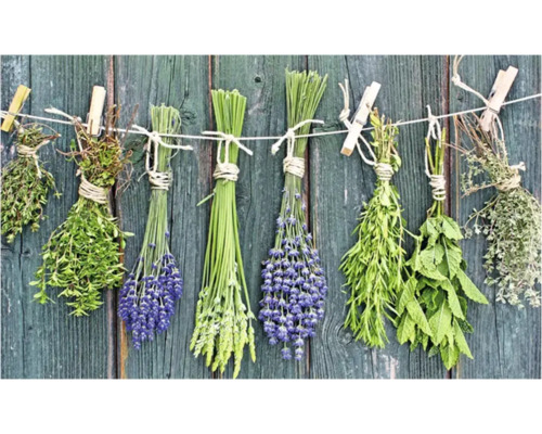 Diverse ierburi aromatice atârnă pe o sfoară de rufe în fața unui perete de lemn.