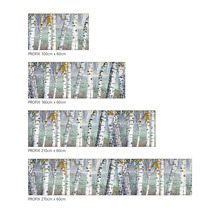 Prezentare generală a diferitelor dimensiuni ale foliei adezive PROFIX cu motiv de mesteacăn, disponibilă în dimensiunile 100 cm x 60 cm, 160 cm x 60 cm, 210 cm x 60 cm și 270 cm x 60 cm.