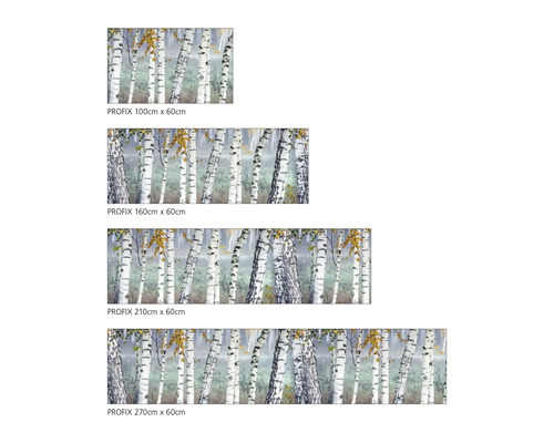 Prezentare generală a diferitelor dimensiuni ale foliei adezive PROFIX cu motiv de mesteacăn, disponibilă în dimensiunile 100 cm x 60 cm, 160 cm x 60 cm, 210 cm x 60 cm și 270 cm x 60 cm.