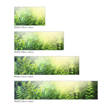 Folie decorativă Profix cu motiv de ferigă în diferite dimensiuni