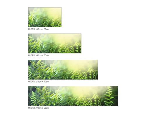 Folie decorativă Profix cu motiv de ferigă în diferite dimensiuni