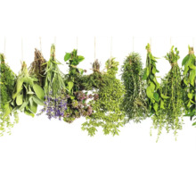 Diverse mănunchiuri de ierburi atârnă de un șnur.