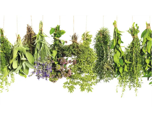 Diverse mănunchiuri de ierburi atârnă de un șnur.