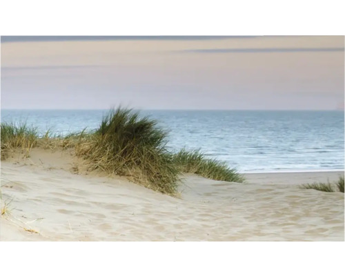 Panou bucătărie mySpotti Profix dune pe plajă aluminiu compozit 100x60 cm Peisaj cu dune, iarbă de plajă și mare