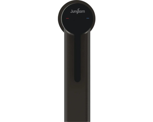 Logo Jungborn pe o baterie