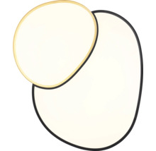 Lumină de plafon cu două forme neregulate