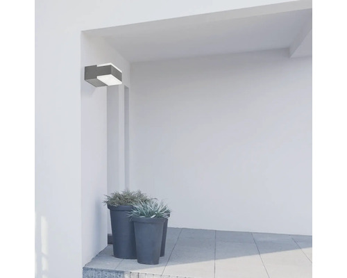 Lumină modernă de perete pentru exterior lângă jardiniere pe un perete al casei