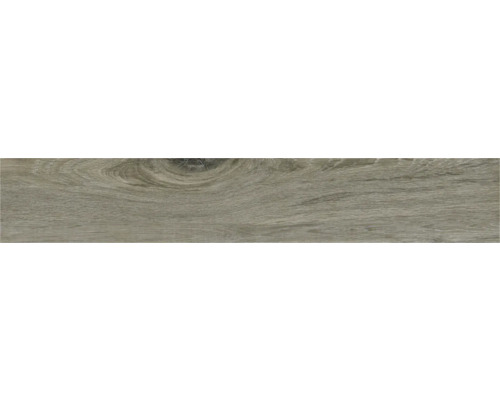 Gresie exterior / interior porțelanată glazurată Asturia Grey 20,4x120,4 cm