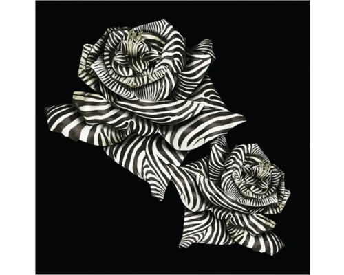 Tapet vinil tip panel 19116 Roberto Cavalli 3x3 m Doi trandafiri cu model zebră pe fundal negru