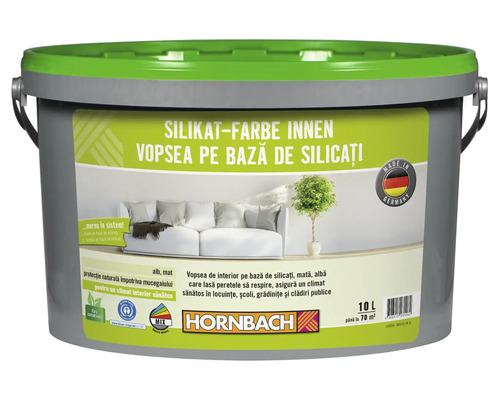 Vopsea minerală pe bază de silicaţi pentru interior, albă 10 l