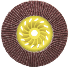 Disc abraziv cu lamele de șlefuire