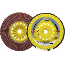 Două discuri abrazive cu lamele SMT 975 Special