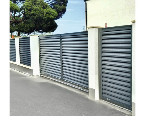 Gard de intimitate cu poartă și structură lamelară