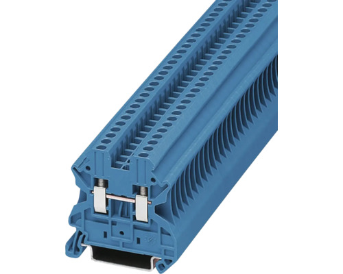 たま Clemă șir de nul UT Phoenix 2,5mm², albastru | HORNBACH