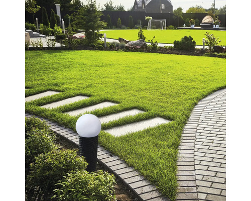 Peisaj de grădină cu gazon, cărare din plăci de piatră și lampă de grădină sferică