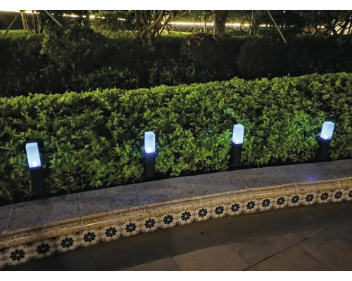 Peisaj de grădină cu gard viu și lămpi solare